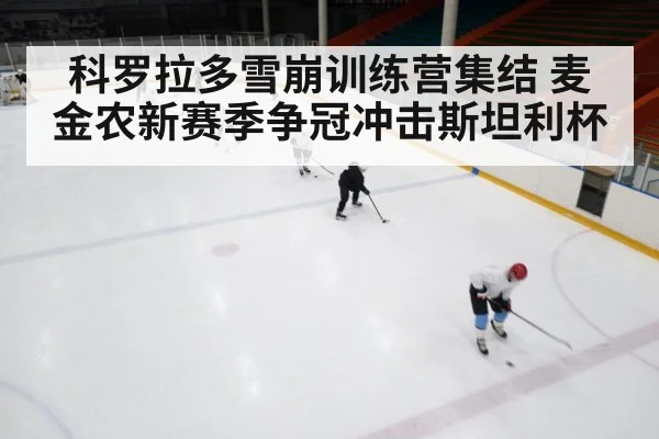 科罗拉多雪崩训练营集结 麦金农新赛季争冠冲击斯坦利杯